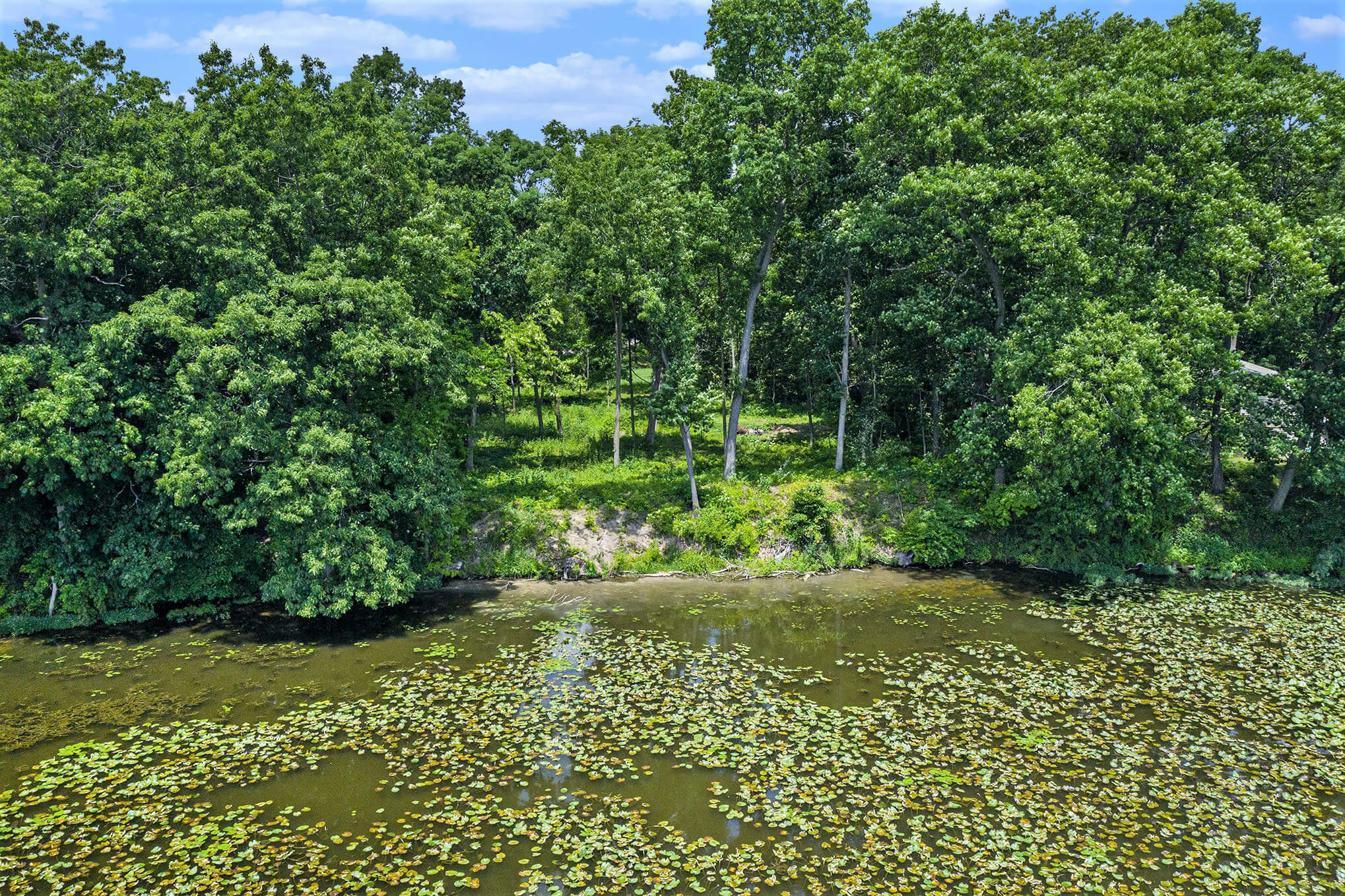 Pond with forest in background